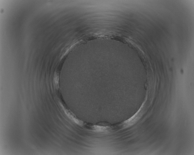 X0000082690192200702091707