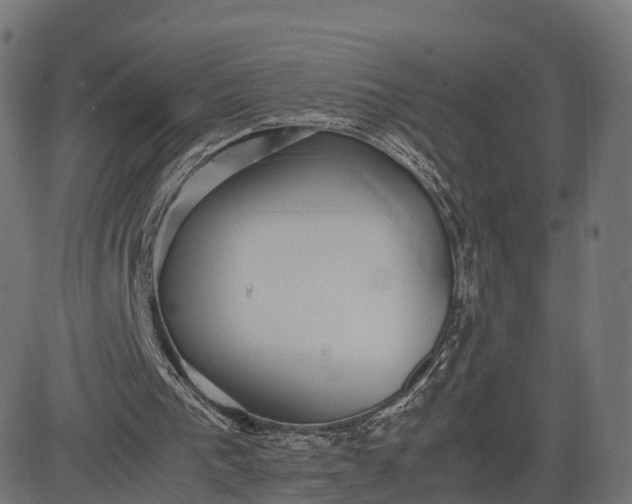 X0000082690193200702091706