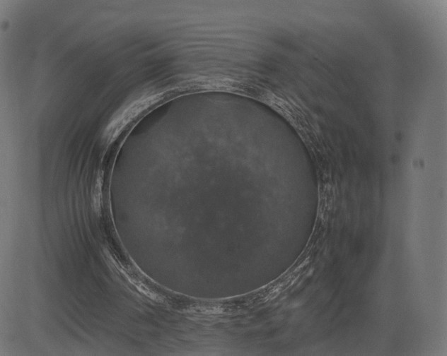 X0000082690194200702091706