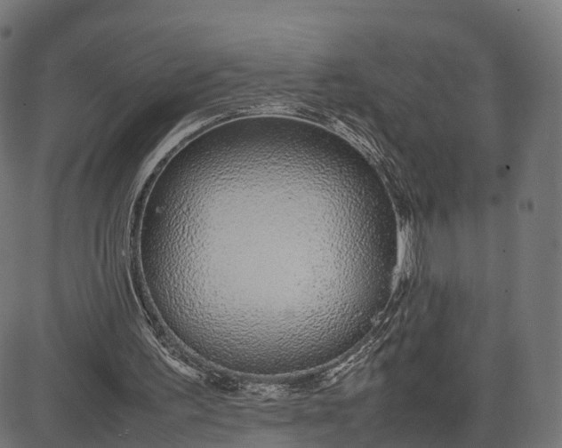 X0000082690195200702091706