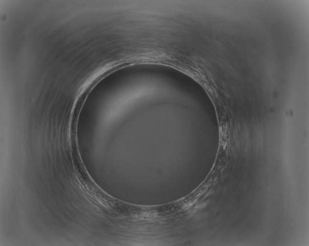 X0000082690196200702091706