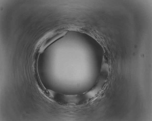 X0000082690197200702091706