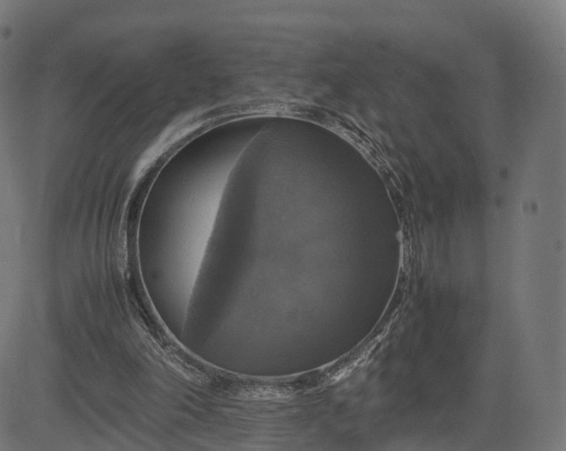 X0000082690198200702091706