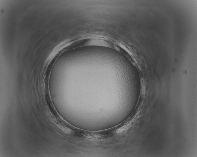 X0000082690199200702091706