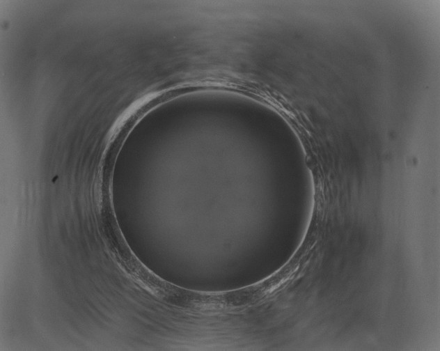 X0000082690200200702091706