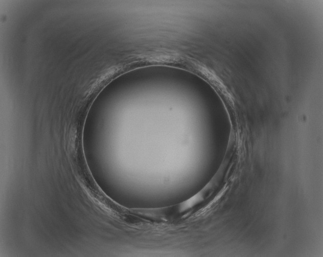 X0000082690201200702091706