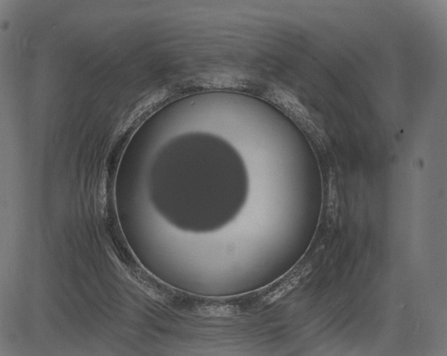 X0000082690202200702091706