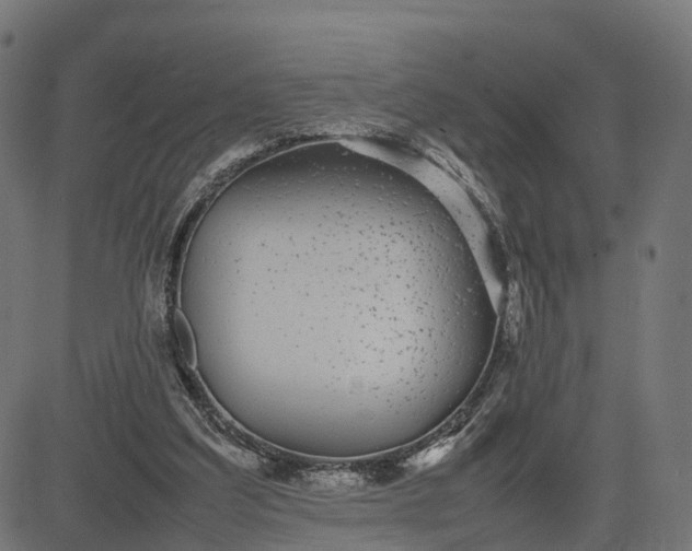 X0000082690203200702091706