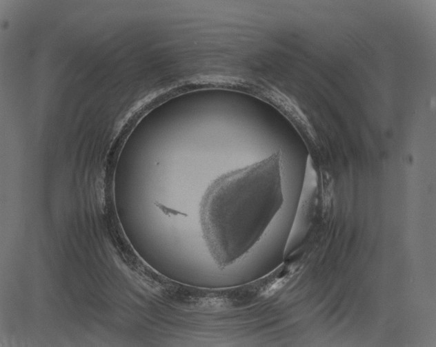 X0000082690204200702091706