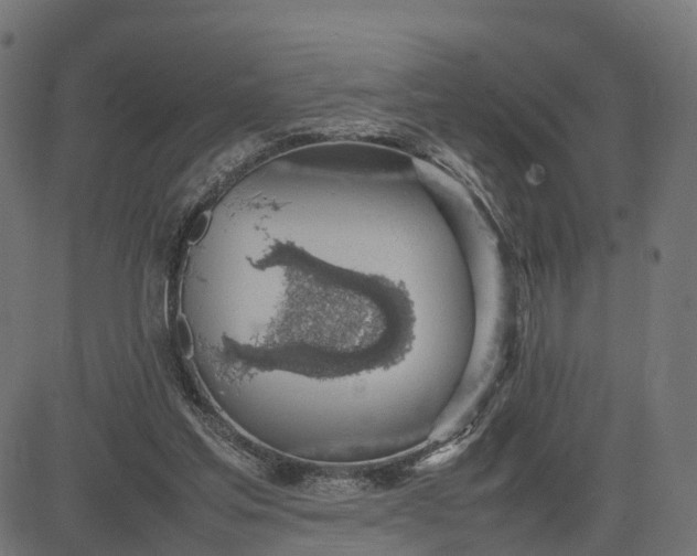 X0000082690205200702091706