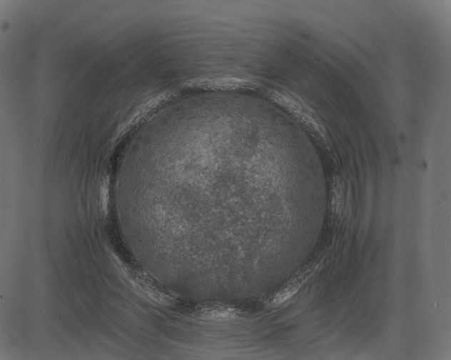 X0000082690206200702091706