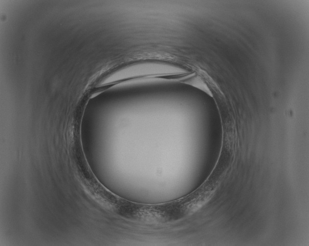 X0000082690207200702091706