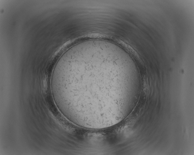 X0000082690208200702091706