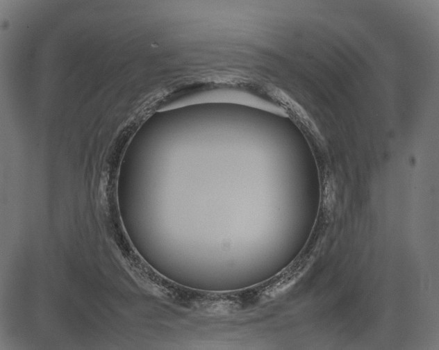 X0000082690209200702091706