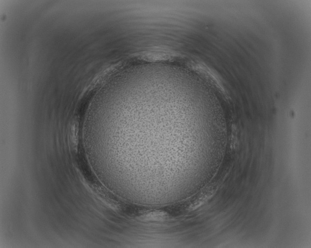 X0000082690210200702091706