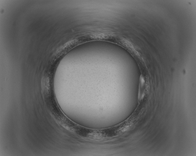 X0000082690211200702091706