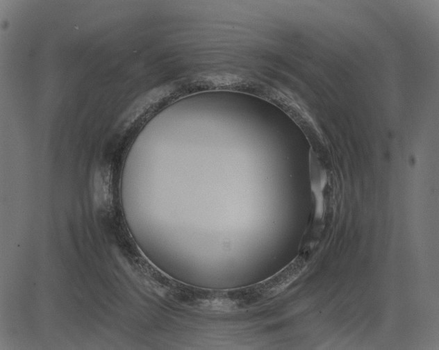 X0000082690212200702091706