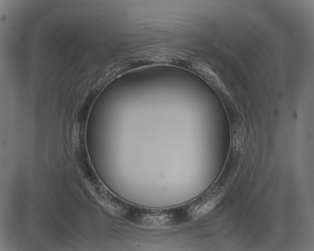 X0000082690213200702091706