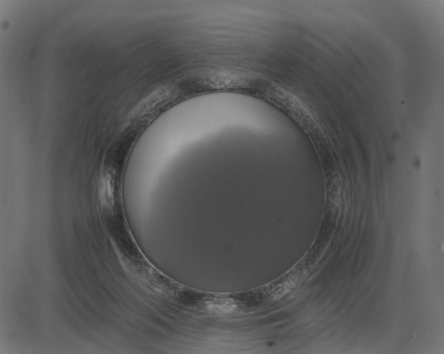 X0000082690214200702091706