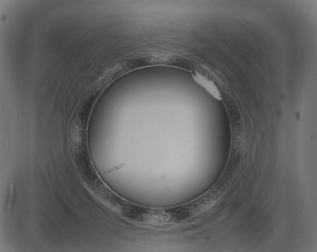 X0000082690215200702091706