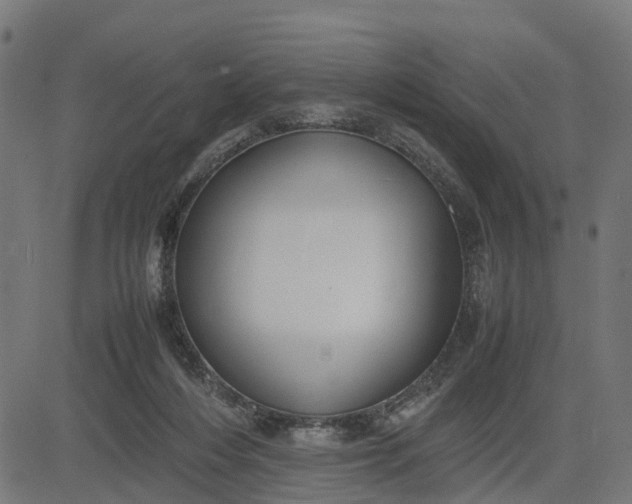 X0000082690216200702091705