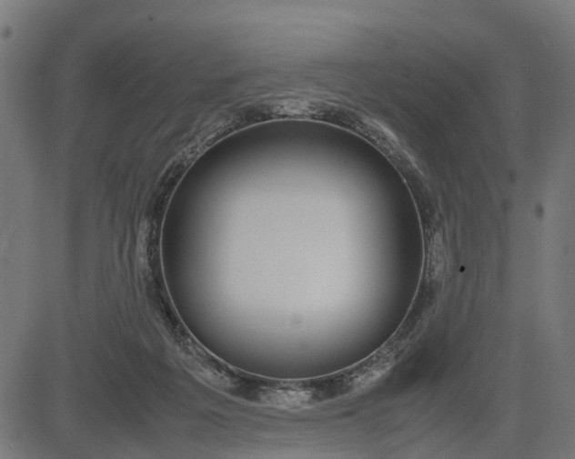 X0000082690217200702091705