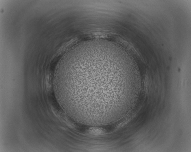 X0000082690218200702091705