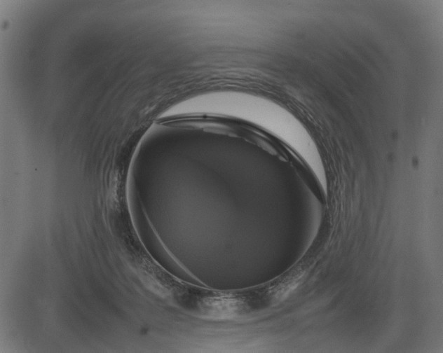 X0000082690219200702091705