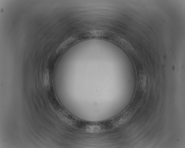 X0000082690220200702091705