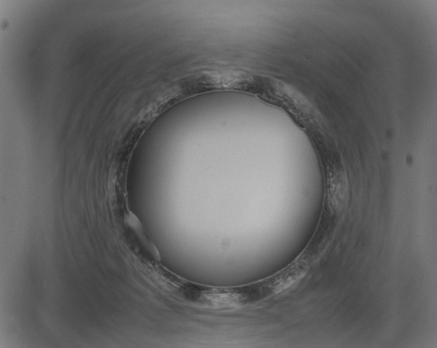 X0000082690221200702091705