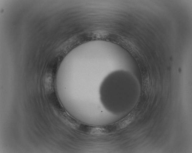 X0000082690222200702091705