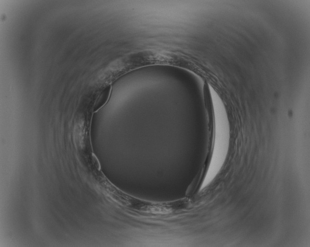 X0000082690223200702091705