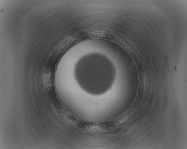 X0000082690224200702091705