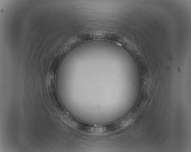 X0000082690225200702091705