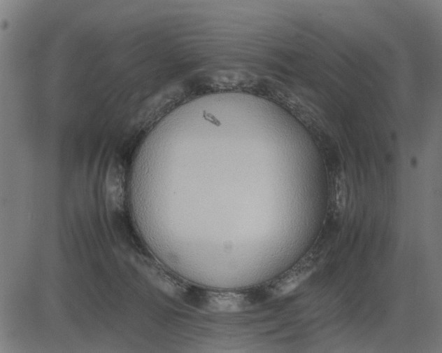 X0000082690226200702091705