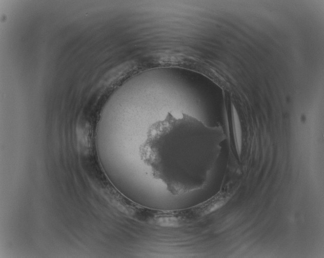 X0000082690228200702091705