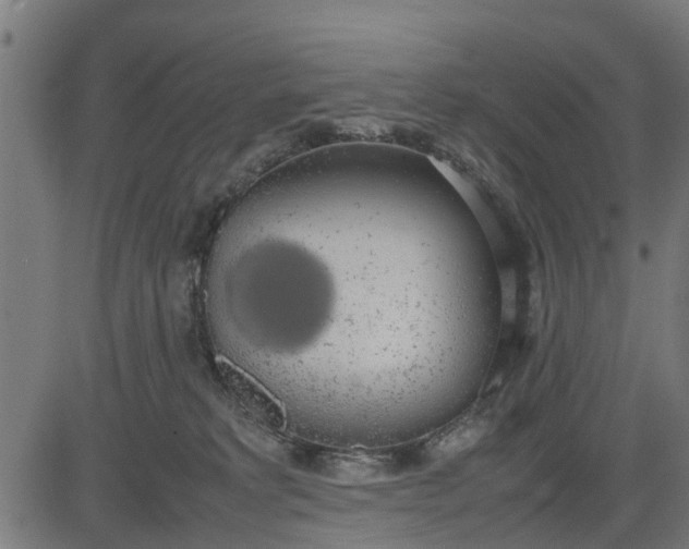 X0000082690229200702091705