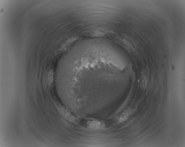 X0000082690230200702091705