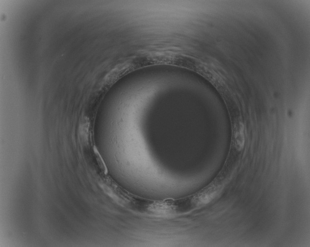 X0000082690231200702091705