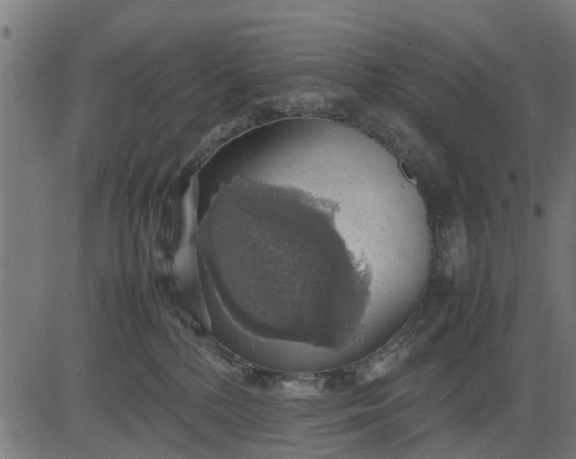 X0000082690232200702091705