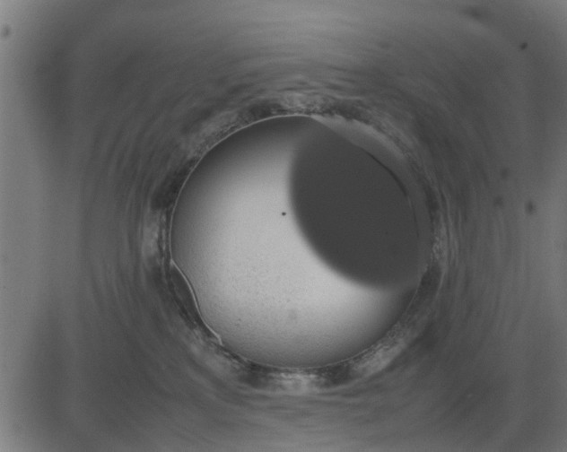 X0000082690233200702091705