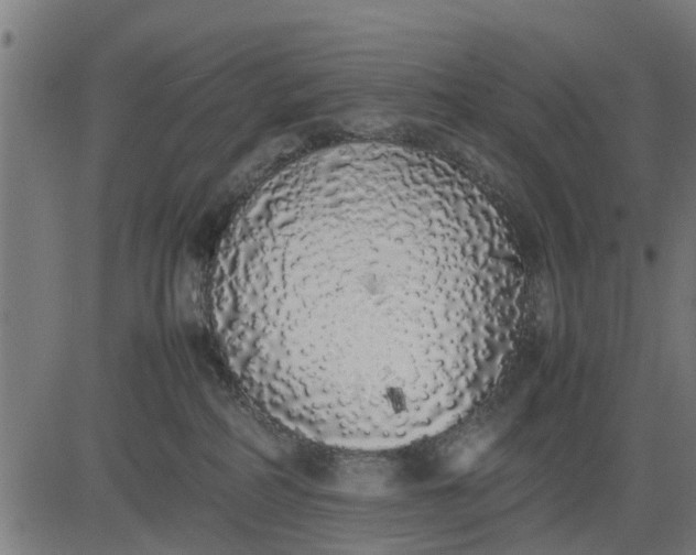 X0000082690234200702091705