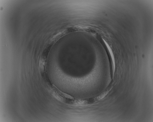 X0000082690235200702091705