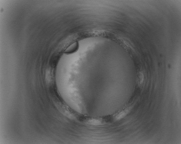 X0000082690236200702091705