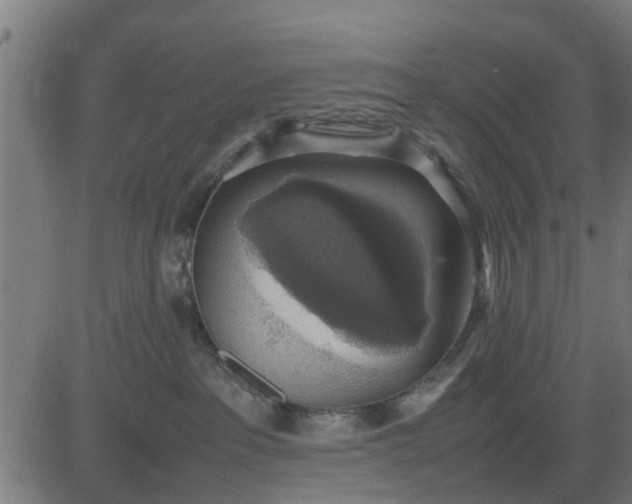 X0000082690237200702091705