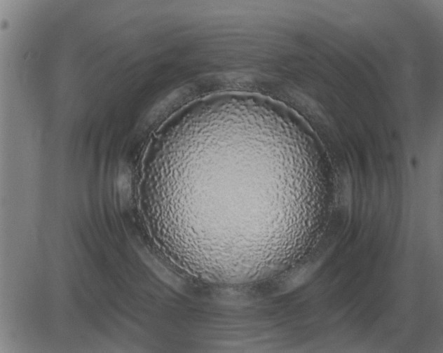 X0000082690238200702091705