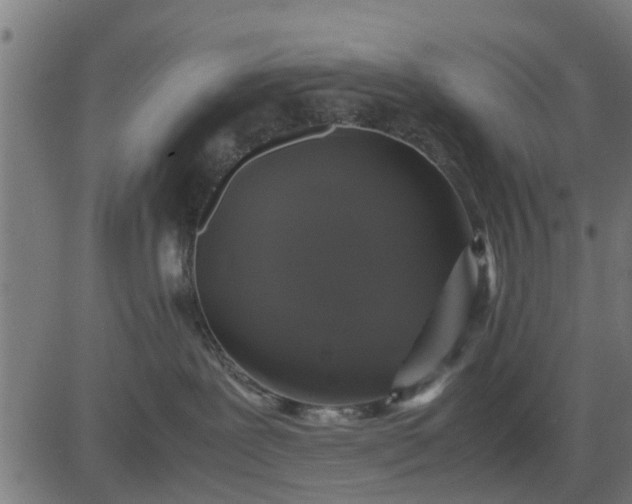 X0000082690239200702091705