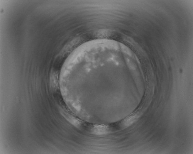 X0000082690240200702091705