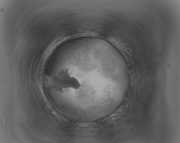 X0000082690241200702091704