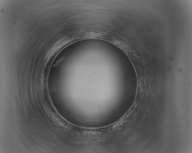 X0000082690242200702091704